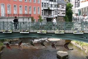 let op de vissen onder de brug