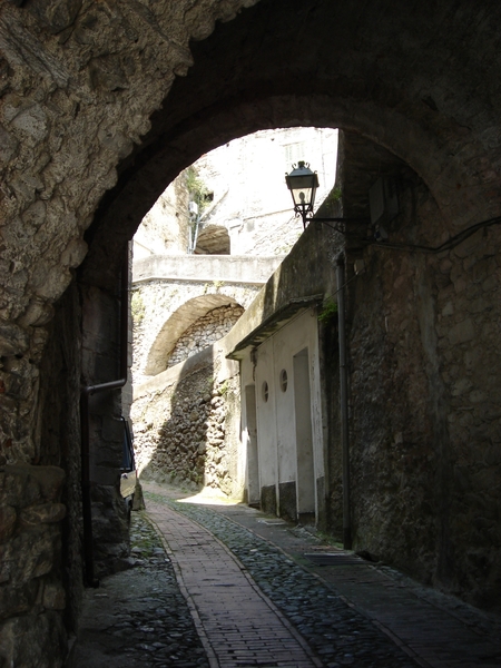 00403Pigna