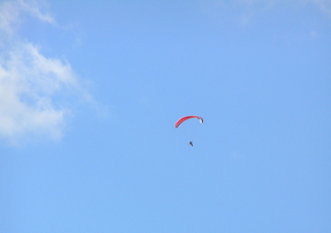 P9010050