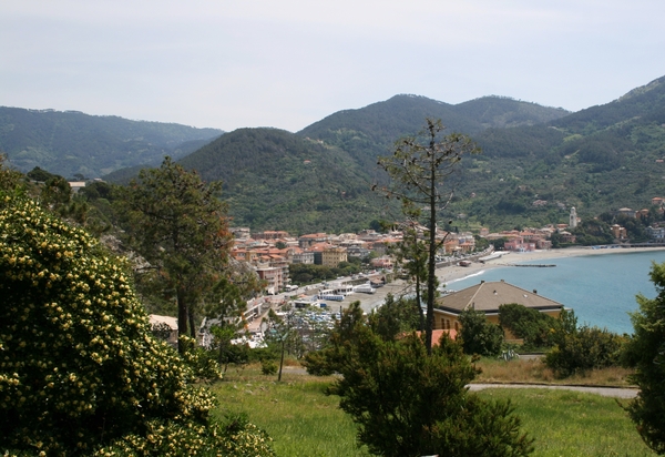 Levanto