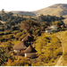 Nkodusweni