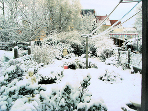 winter 2010