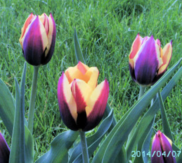 BILD0410