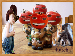 hutch