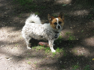 elmpterwald2