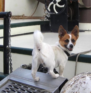 dorus op schip