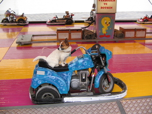 kermis in de stad