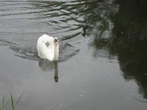 13jul2009: avondwandeling langs de Sre