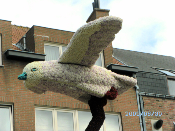 BILD0065