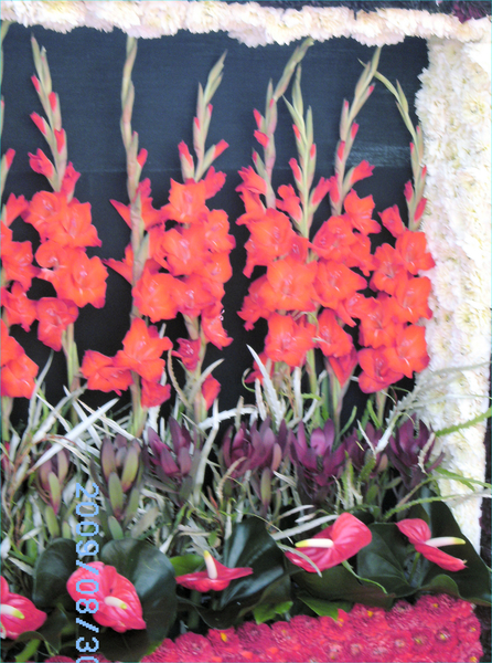 BILD0067