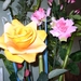 IMAG0001
