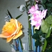 IMAG0002