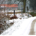 Winter in Vorstheide in Herselt