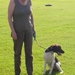 honden 2