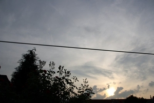 12-06-2010 tuin  047 (29)