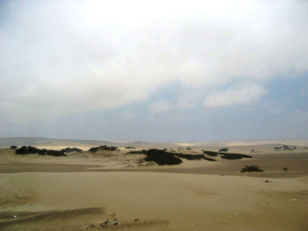 peru vlpig (76)