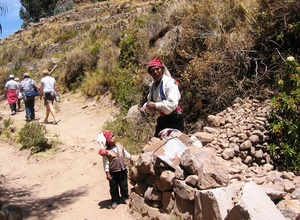 peru vlpig (561)