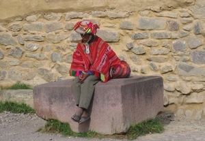 peru vlpig (709)