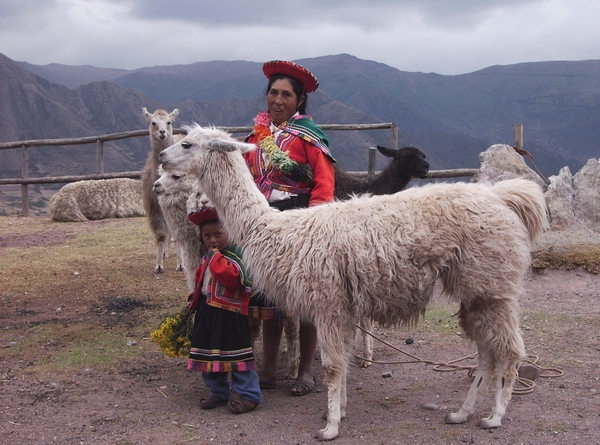 peru vlpig (1039)