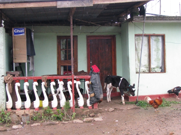 Afbeelding sri lanka 2 1263