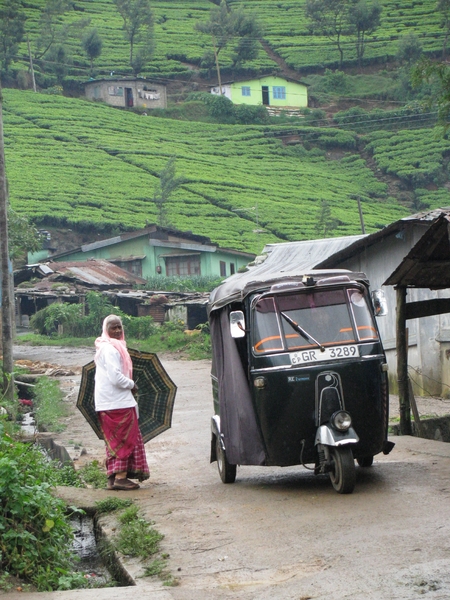 Afbeelding sri lanka 2 1265