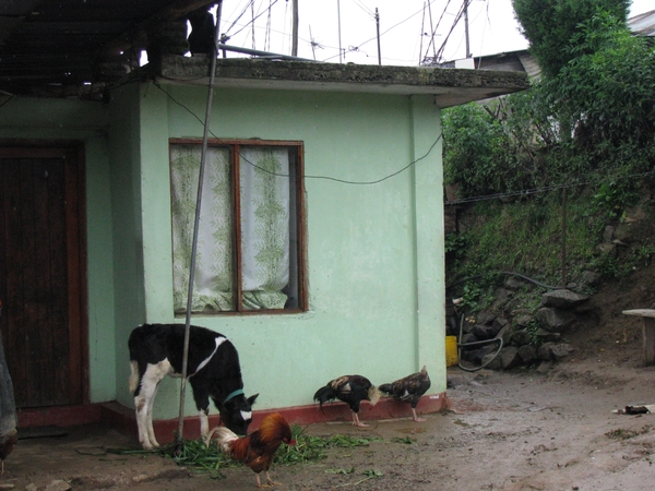 Afbeelding sri lanka 2 1264