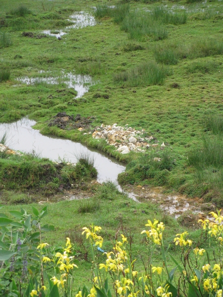 Afbeelding sri lanka 2 1270