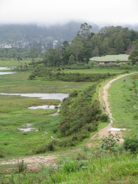 Afbeelding sri lanka 2 1274