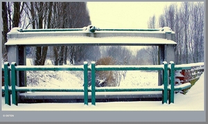 0701JPG1 winter