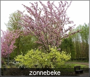 _zonnebeke.park 04/2010