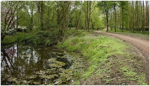 zonnebeke park 04/2010