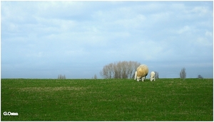 Op weg naar Zonnebeke