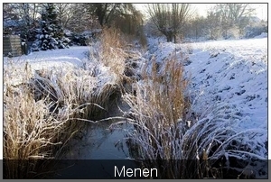 sized_IMG_5876Menen4