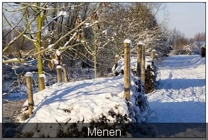 sized_IMG_5877Menen2