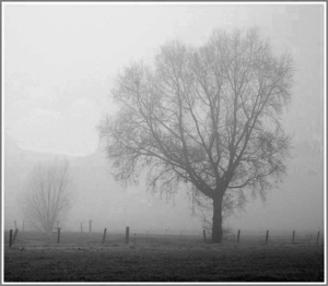 sized_gits kopie2 kopie