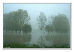 sized_sized_IMG_5801bergkopie