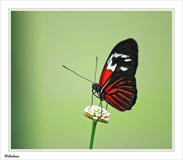 sized_142
