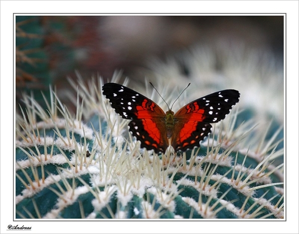 sized_157