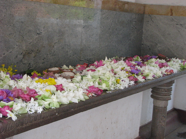 Afbeelding sri lanka1 284