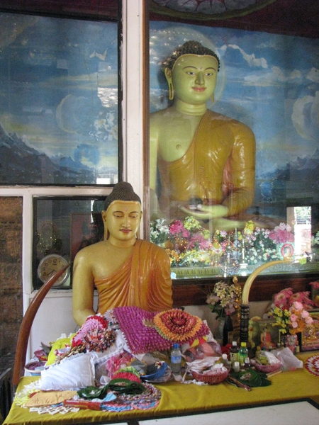 Afbeelding sri lanka1 290