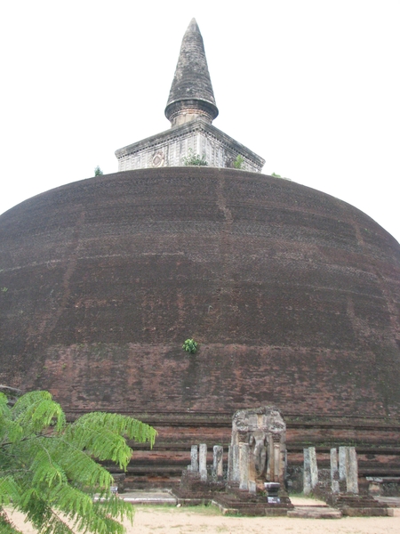 Afbeelding sri lanka1 361