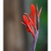 sized_021