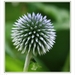 sized_029