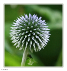sized_029