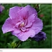sized_030