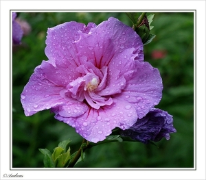 sized_030