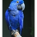 sized_039