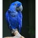 sized_040