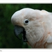 sized_044