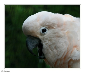 sized_044